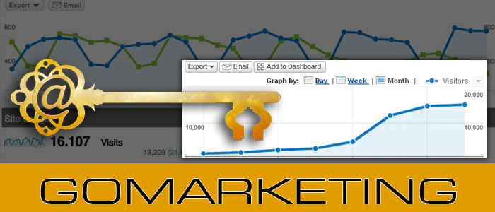 Gonetwork srl viareggio