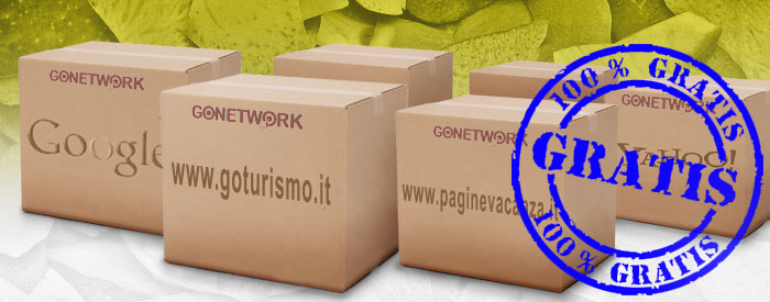 Gonetwork srl viareggio